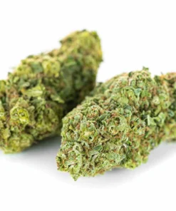 Susz konopny AK 47 Super Amsterdam 51% CBD
