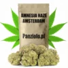 Susz konopny Amnesia Haze SUPER AMSTERDAM CBD
