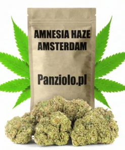 Susz konopny Amnesia Haze SUPER AMSTERDAM CBD
