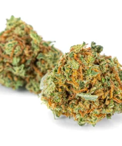 Susz konopny Blueberry CBD