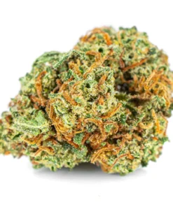 Susz konopny Blueberry CBD owocowy aromat