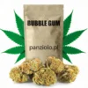 Susz konopny Bubble Gum CBD