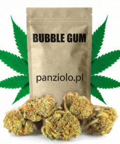Susz konopny Bubble Gum CBD