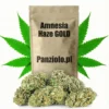 Susz konopny CBD Amnesia Haze GOLD