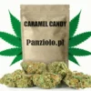 Susz konopny CBD Caramel Candy