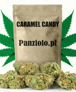Susz konopny CBD Caramel Candy