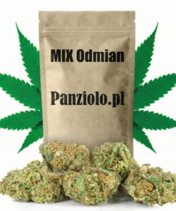 Susz konopny CBD MIX Odmian