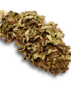 Susz konopny CBD Orange Bud pomaranczowe topy