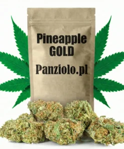 Susz konopny CBD Pineapple GOLD