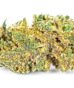 Susz konopny CBD Sour Diesel wyglad kwiatow