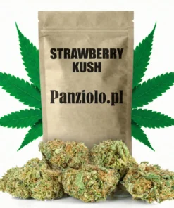 Susz konopny CBD Strawberry Kush