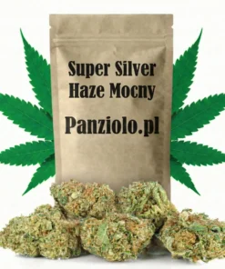 Susz konopny CBD Super Silver Haze Mocny