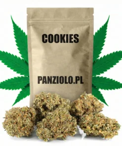 Susz konopny Cookies CBD – 19%