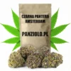 Susz konopny Czarna Pantera SUPER AMSTERDAM CBD