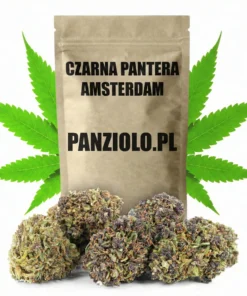 Susz konopny Czarna Pantera SUPER AMSTERDAM CBD