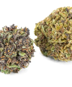 Susz konopny Czarna Pantera Super Amsterdam 40 CBD