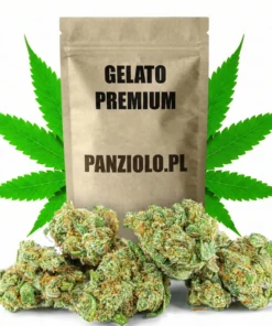 Susz konopny Gelato Premium CBD
