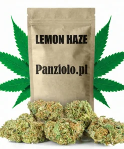 Susz konopny Lemon Haze CBD