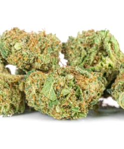 Susz konopny Lemon Haze CBD cytrusowy zapach