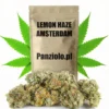 Susz konopny Lemon Haze SUPER AMSTERDAM CBD