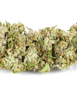 Alternative view of Susz konopny Lemon Haze SUPER AMSTERDAM CBD