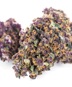 Susz konopny Purple Haze CBD 26 procent Super Amsterdam