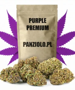 Susz konopny Purple Haze PREMIUM CBD