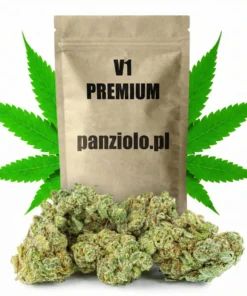 Susz konopny V1 PREMIUM CBD