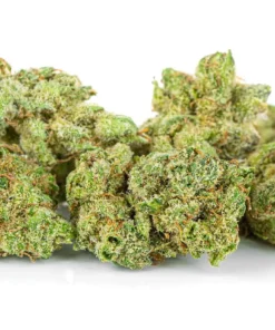 Susz konopny V1 Premium CBD wysoka jakosc