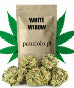 Susz konopny White Widow CBD