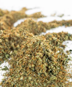 Tania biomasa konopna do ekstraktow