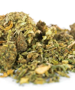 Wloska biomasa konopna mix genetyk