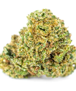 Wloski susz konopny Sativa Dominant