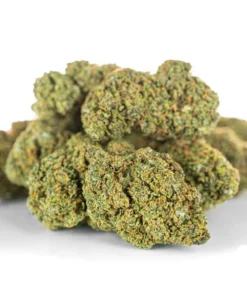 Wloski susz konopny Sativa cytrusowy