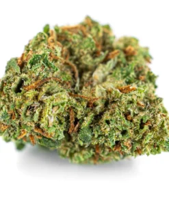 Wloski susz konopny Sativa cytrusowy aromat