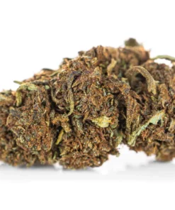 Wloski susz konopny deserowy aromat