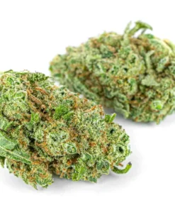 Wygląd topów CBD Gelato Premium Pan Zioło