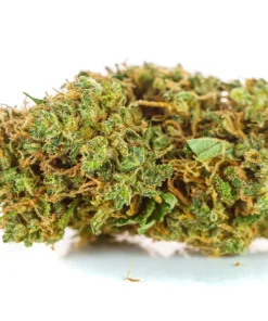 Susz konopny Orange Haze SUPER AMSTERDAM CBD