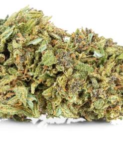 Wyglad topow Purple Haze Premium Pan Ziolo