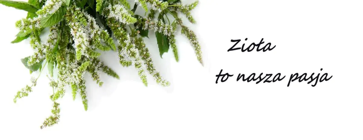 Zioła to nasza pasja