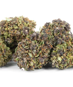 konopny Super Amsterdam 40 CBD