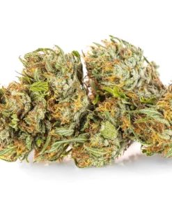 susz Sativa Super Amsterdam Lemon