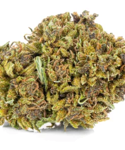 susz cbd konopny Super Amsterdam 40 CBD