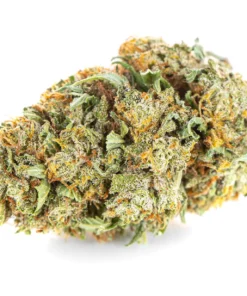 susz cbd konopny lemon haze amsterdam