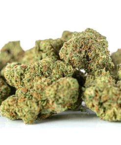 susz konopny Super Amsterdam Amnesia